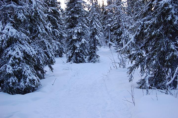 vemdalen 130.jpg - vgen till liften frn huset